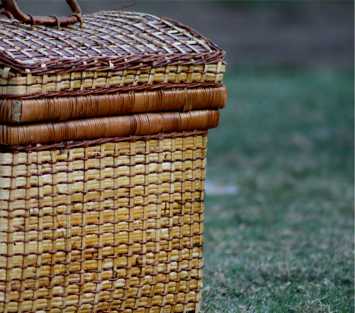 Fellowship Picnic